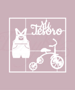 MI TESORO, BICI Y PETO