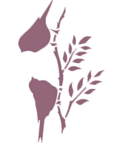 Stencil A5 Dayka Pajaros